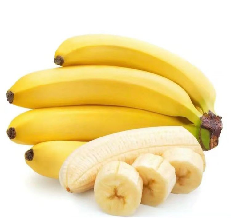 55336
